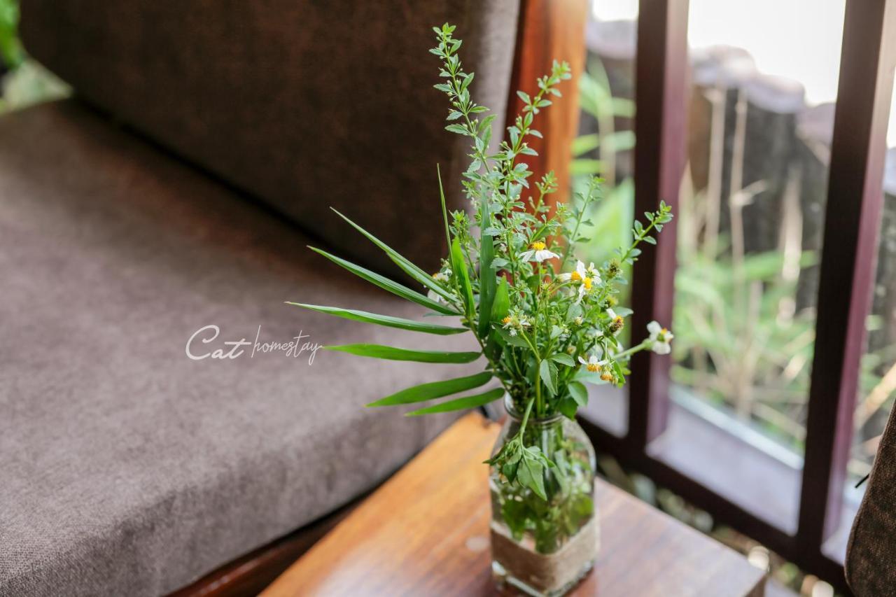 Cat Homestay Hue Esterno foto