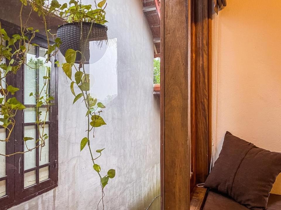 Cat Homestay Hue Esterno foto